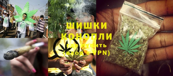 ГАЛЛЮЦИНОГЕННЫЕ ГРИБЫ Семилуки