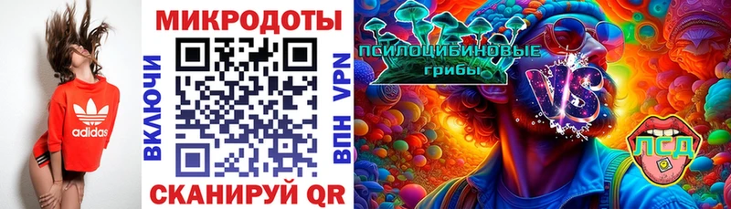 Купить  Выкса  Псилоцибиновые грибы Psilocybe 